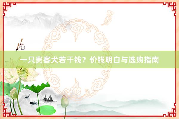 一只贵客犬若干钱？价钱明白与选购指南
