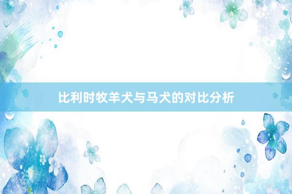 比利时牧羊犬与马犬的对比分析
