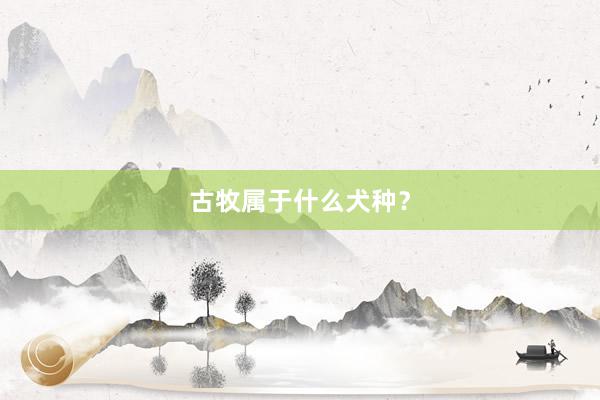 古牧属于什么犬种？